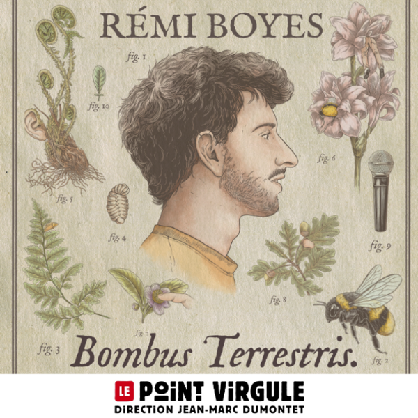 REMI BOYES